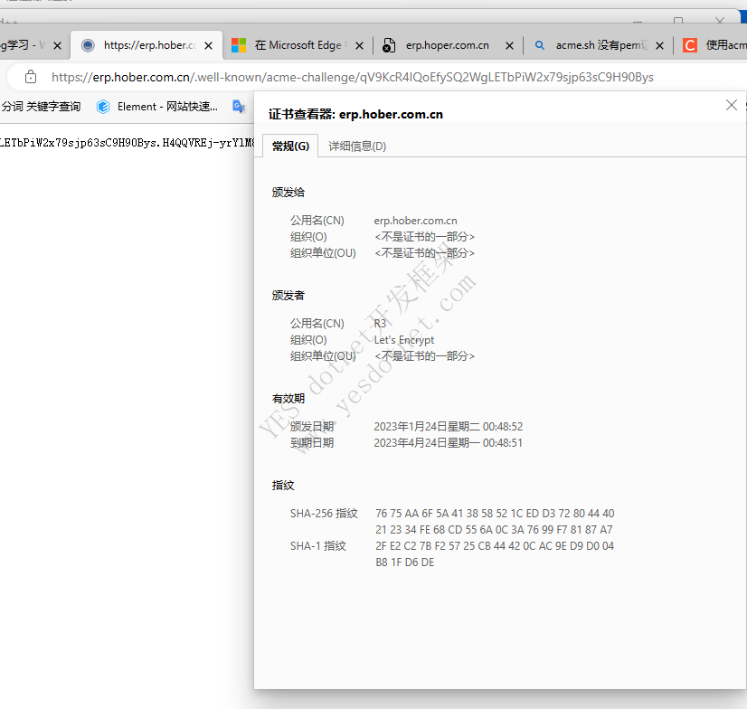 windows申请免费ssl证书Let's Encrypt