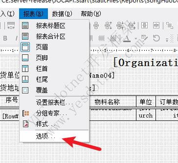 Fastreport页码设置