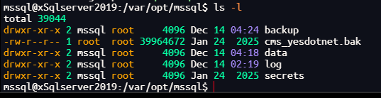 Docker中安装SqlServer后数据库备份错误