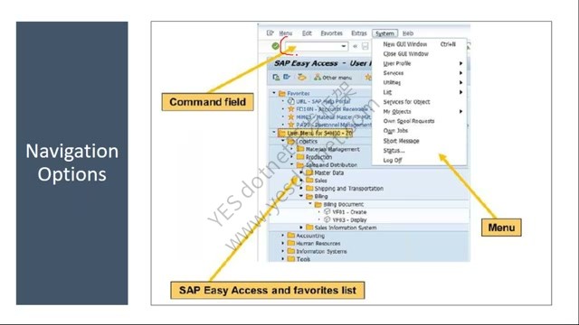 SAP Easy Access、命令字段与菜单路径