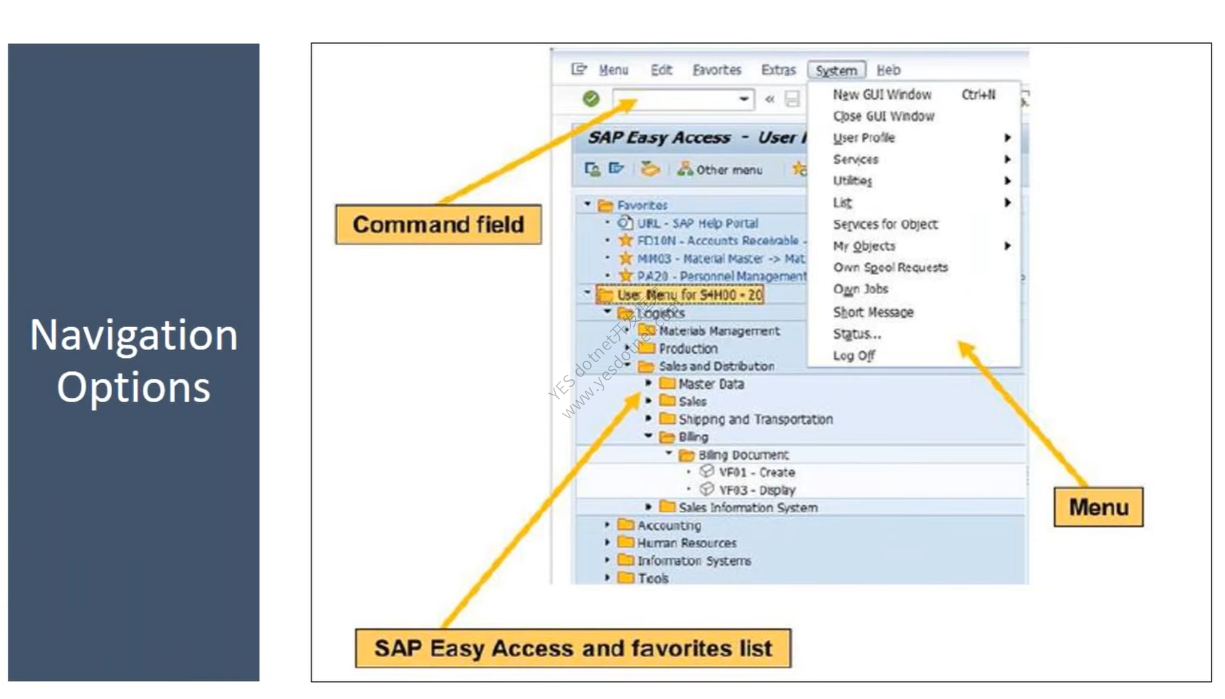 SAP S/4HANA MM模块培训 02 - 快速掌握 SAP GUI 导航