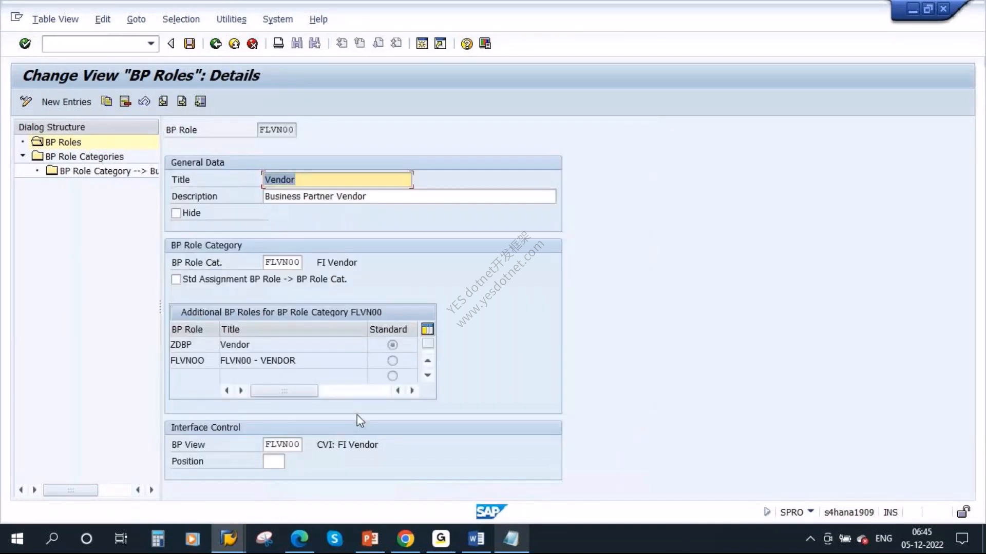 SAP GUI 中 FLVN00 角色详情与 CVI FI Vendor