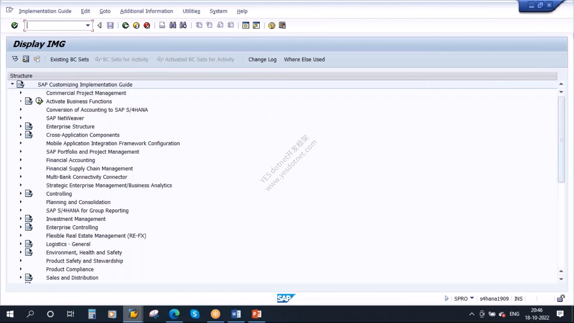 SAP GUI Display IMG最终有效授课画面
