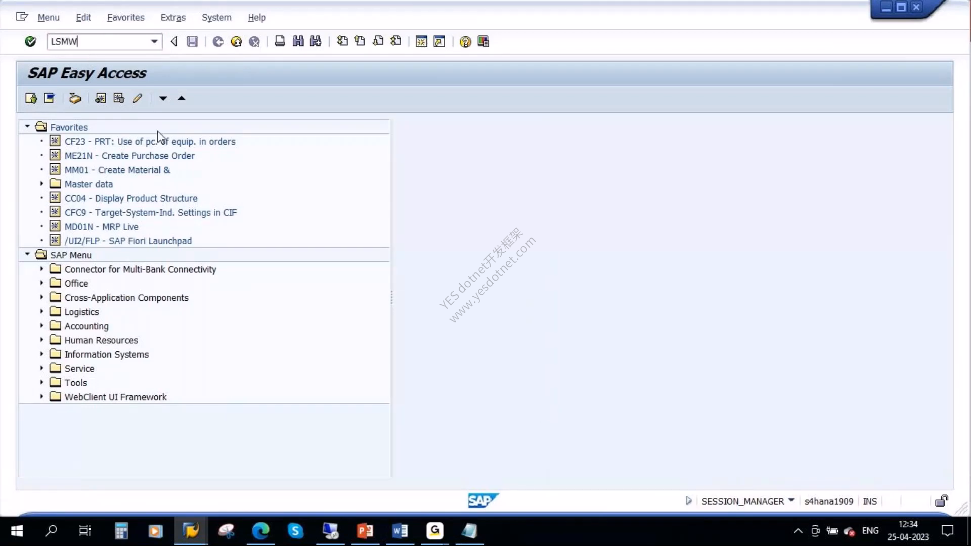 视频中在 SAP Easy Access 输入 LSMW
