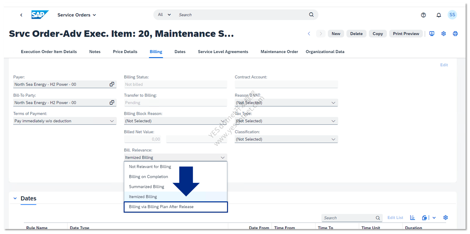 SAP Learning官方Advanced Execution Item开票相关性界面