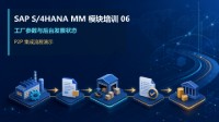 SAP S/4HANA MM模块培训 06 - 工厂参数、后台发票状态与P2P集成演示