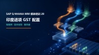 SAP S/4HANA MM 模块培训 20:印度进项 GST 税程序与条件配置