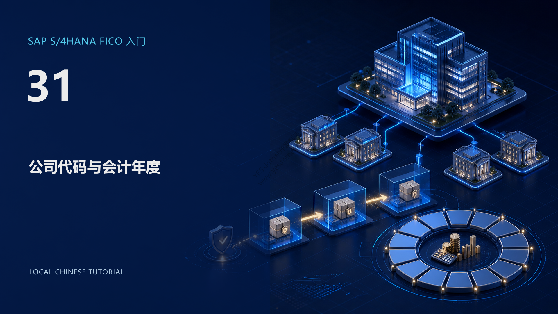 SAP S/4HANA FICO 公司代码与会计年度