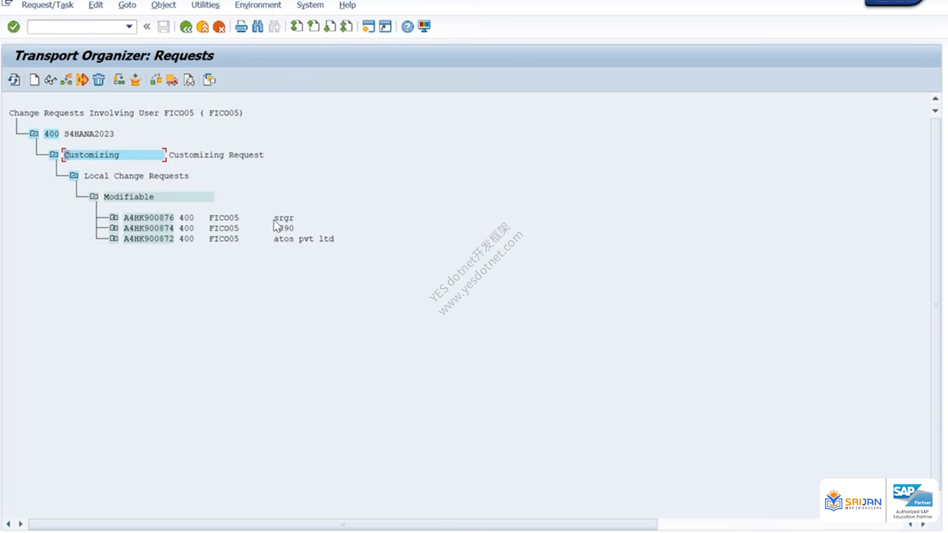 SE09 中的 Customizing 请求和可修改任务
