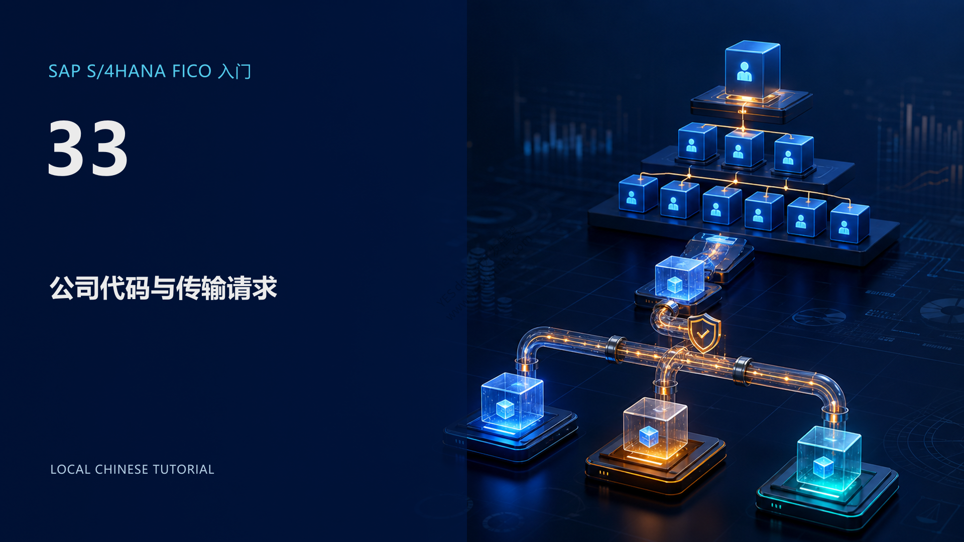 SAP S/4HANA FICO 入门 33:公司代码与传输请求