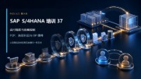 SAP S/4HANA培训 37 - FICO入门第9天:应付账款、容差组与业务伙伴编号