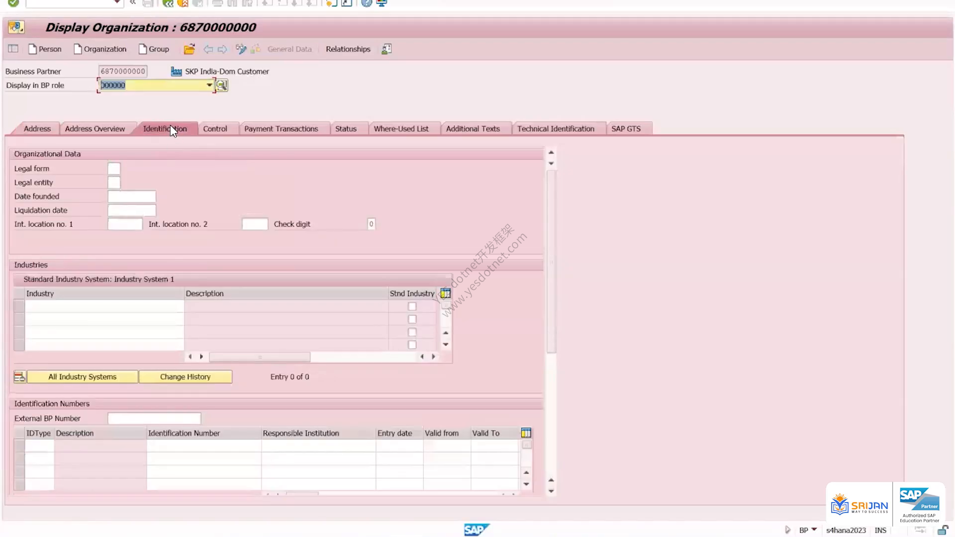 Business Partner 的 Identification 页签