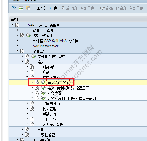 SAP IMG 中的定义评估级别