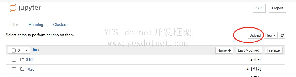 如何运行.ipynb文件
